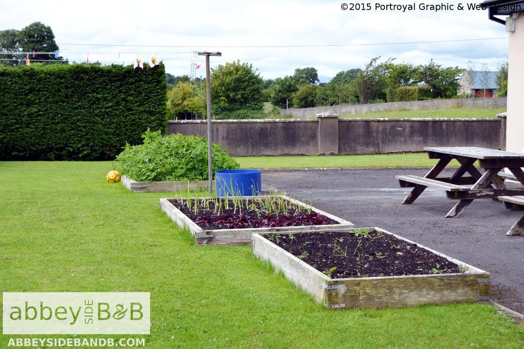 Abbeyside B&B Ballintober  Bagian luar foto